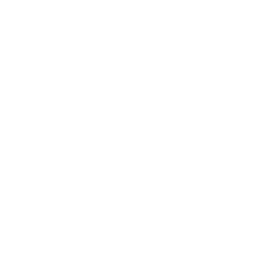 Practice Owner Focus Icon